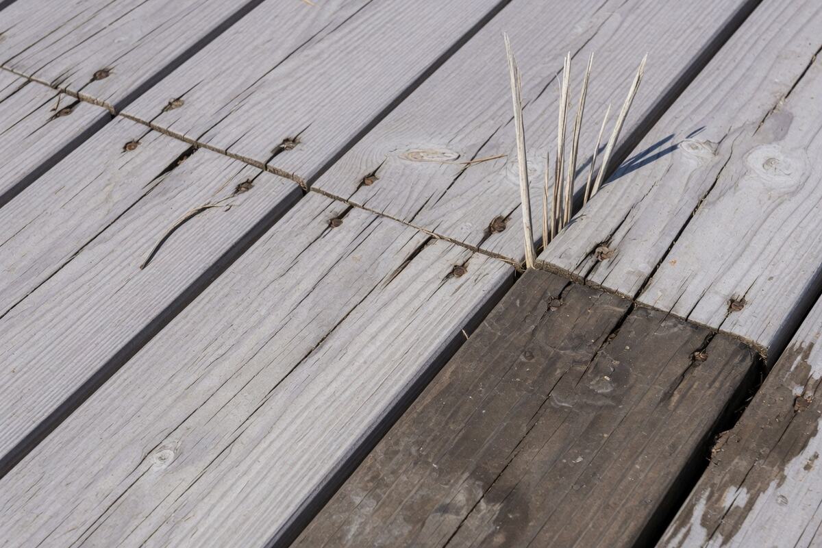 Silver-grey deck boards, checked and gapped, with one darkened board where water has sat.
